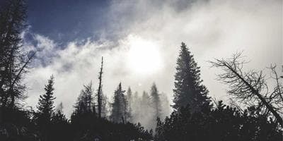 AI in the Creative Process