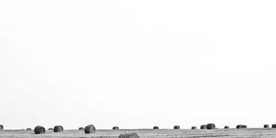 Cybersecurity: Shielding the Digital Frontier